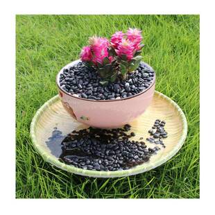 林造景材-广东黄色砂砾WPT鹅卵园石（园石艺铺装天然石料沙砾）