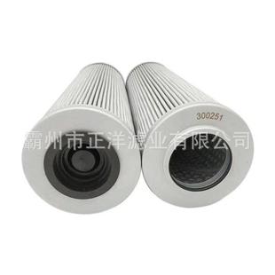工厂替代30030001.E950.10VG.10.S.P.10VG过滤器滤芯