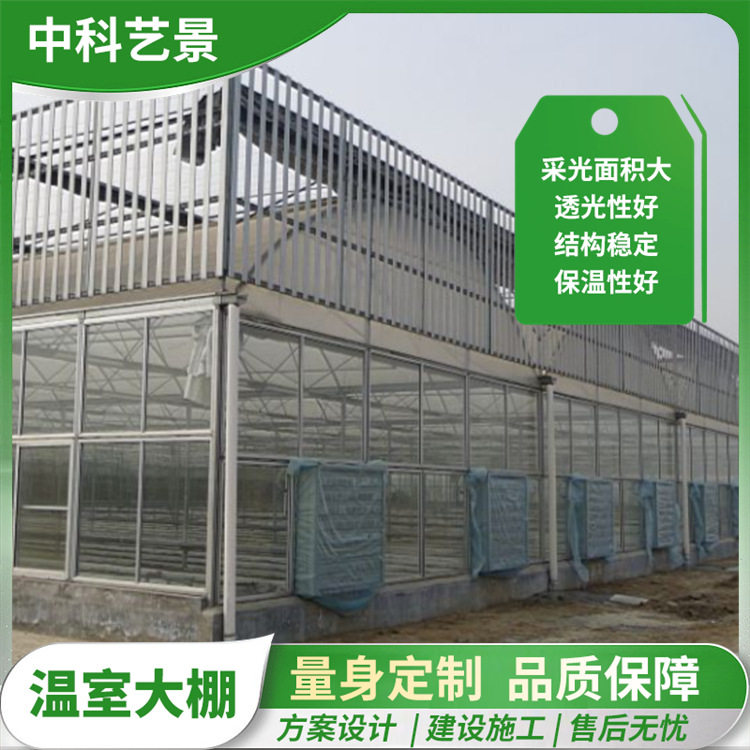 薄膜温室育苗大棚 农业大棚蔬菜种植使用搭建工期短 薄膜连栋温室