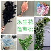 乾燥花永生蓬莱松雾状蓬松花艺软装 饰 花艺美陈婚庆布置咖啡厅装