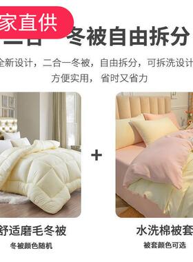 被被套可拆洗件二合一套床上两PDD49400件套保暖厚款被子套秋加冬