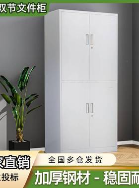 案通体双节办铁皮柜资料柜凭证柜铁柜皮文件04008柜多层档柜公室