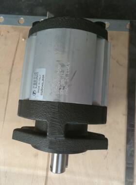 力ROZIO罗茨0荐2ZAG14C35D齿轮泵N980全0网特推奔走相告