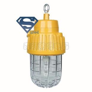 DGS70 矿用隔爆型照明灯.DGS100 隔爆型泛光灯 127B