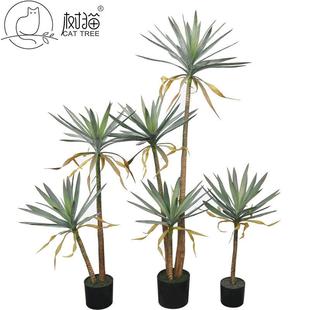 树猫仿真凤尾龙舌兰大号剑麻剑兰盆栽树人造假树客厅装饰丝兰树