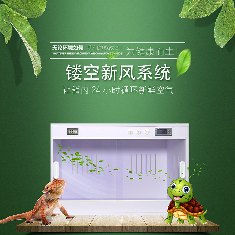 爬虫恒温箱蜥蜴守宫加热保温箱刺猬芦丁鸡育雏箱陆龟异宠饲养箱蛇,宠物/宠物食品及用品,爬宠缸/箱,淘宝优惠券,粉丝福利购,淘宝优惠卷