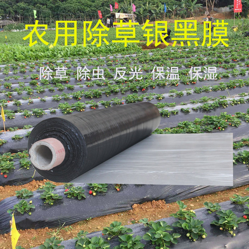 黑地膜农用黑膜白膜果园除草防草膜保温保湿蔬菜塑料薄膜种植加厚