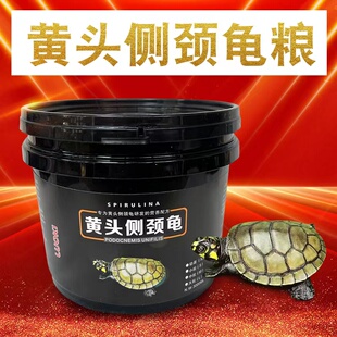 黄头侧颈龟粮饲料黄头龟饲料乌龟饲料乌龟粮黄头乌龟龟粮乌龟料