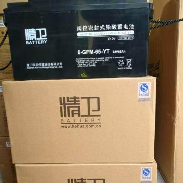 6-GFM-65-YT通讯直流屏UPS应急电源精卫蓄电池12v65ah光伏储能,鲜花速递/花卉仿真/绿植园艺,割草机/草坪机,淘宝优惠券,粉丝福利购,淘宝优惠卷