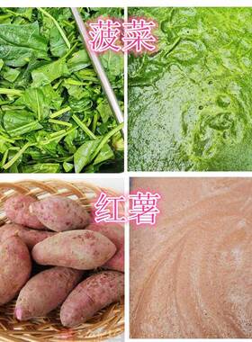 红薯淮山打泥浆机做面条粉条水果蔬菜打浆机菠菜细腻出浆机