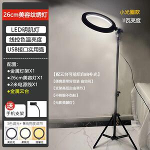 美睫灯美容纹绣美甲纹身护眼灯冷暖光纹眉直播美颜落地灯