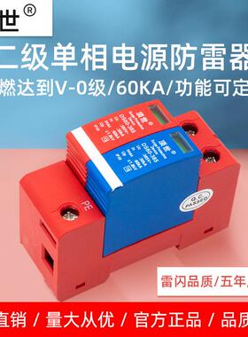 顶世浪涌保护器家用2P60KA二级单相电源防雷器电涌保护器避雷器