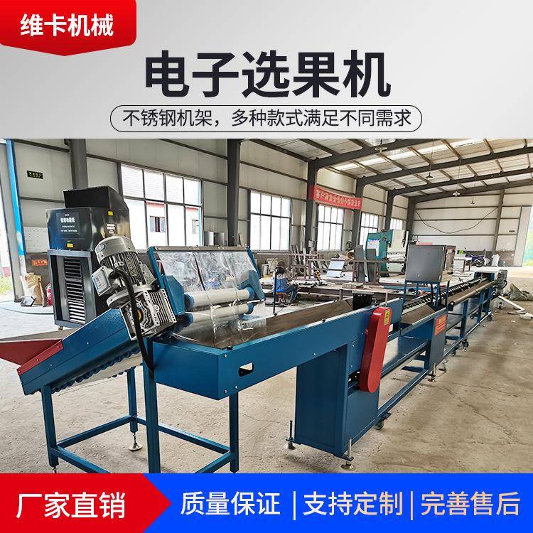 电子智水果大小分级全自TOI动分机选备大果能盘水果设重量分选机