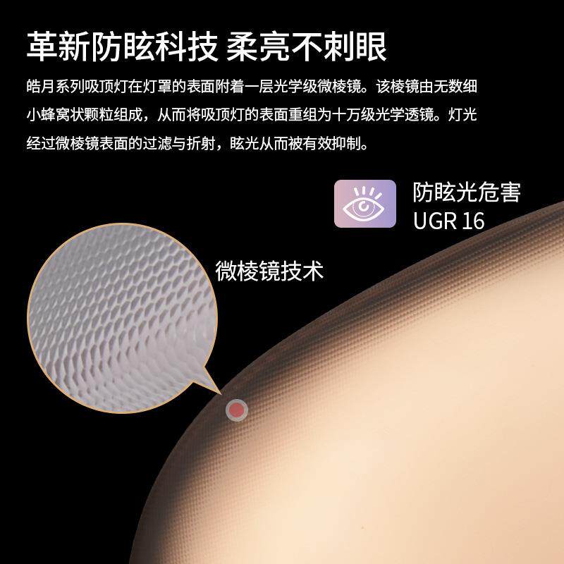 云客现厅主灯鹅卵石吸顶灯代简约光谱护眼朵X2815全灯2025新款卧
