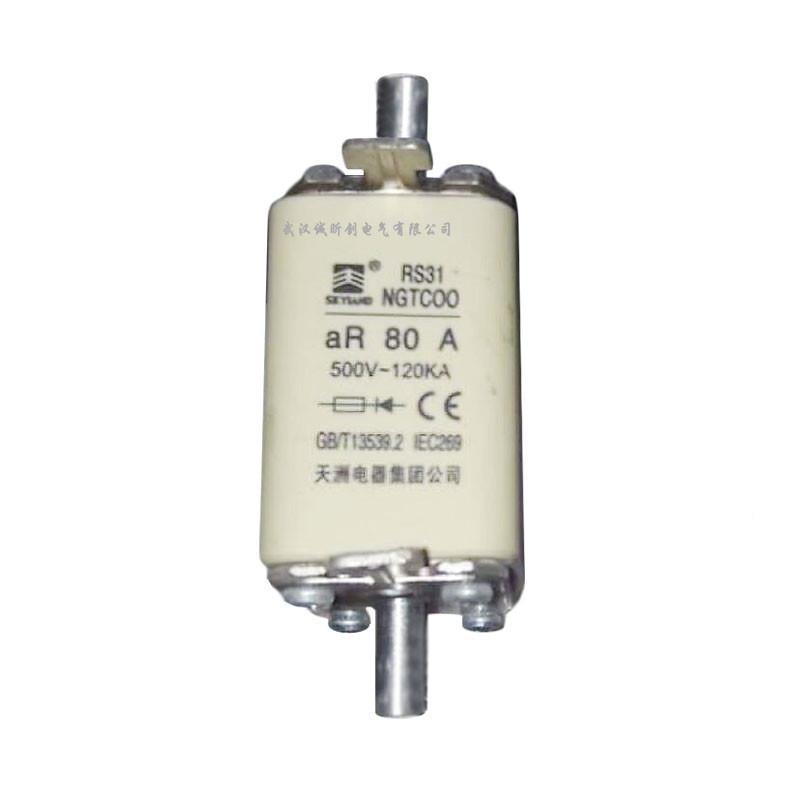RS31GTC0040A500V50A63A846电80A100A天洲N器集团公司熔断器