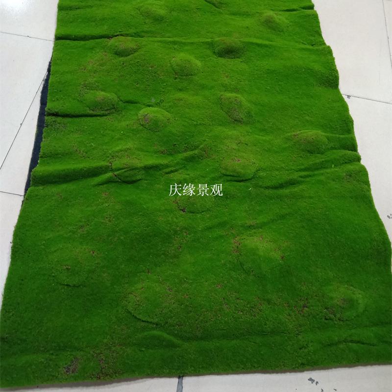 墙仿真青苔草皮微景观造景装橱窗饰假藓植物假绿植人造草PCY苔坪