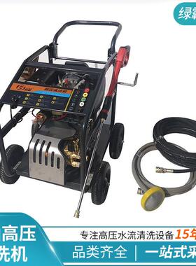 FWF5除锈柴动力洗地机道清油洗机1D36-10C绿管霸洗车机