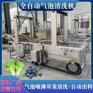 葡萄柑橘气泡清洗设备叶类菜清洗流水线多功能鼓泡土豆清洗机