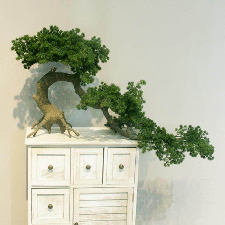 松树盆栽真松树罗汉松盆栽大型室内户外摆设家居酒店餐厅商场,纺织面料/辅料/配套,纺织机械配件,淘宝优惠券,粉丝福利购,淘宝优惠卷