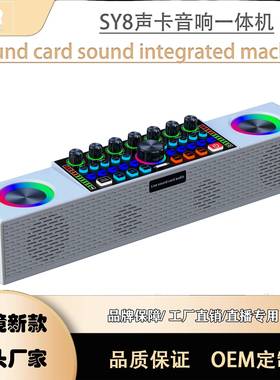 SY8英文版直播声卡一体机家庭影音唱歌户外唱歌音响直播声卡