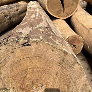 绿檀木木料绿檀实木木板非洲小叶檀木原木建材木料金星紫檀木料