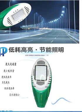 LED30w瓦火炬路灯灯头挑臂路灯户外灯道路灯马路灯庭院灯防水路灯