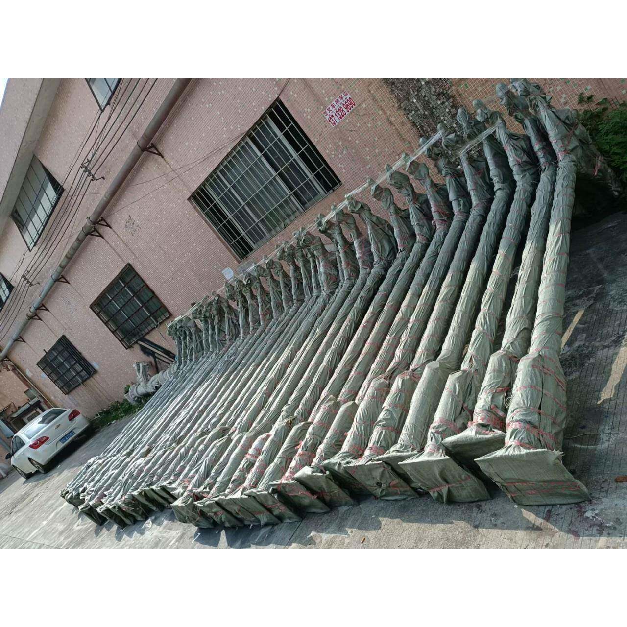 艾乐壹迪8米高杆户外景观玉兰灯大型市政道路广场照明灯高杆灯
