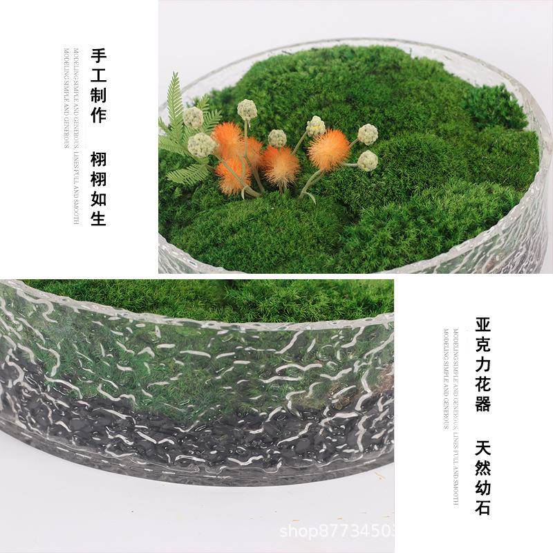 花亚克力仿真绿植盆摆件景样板茶室房洽谈餐桌艺植物CFV微景观装