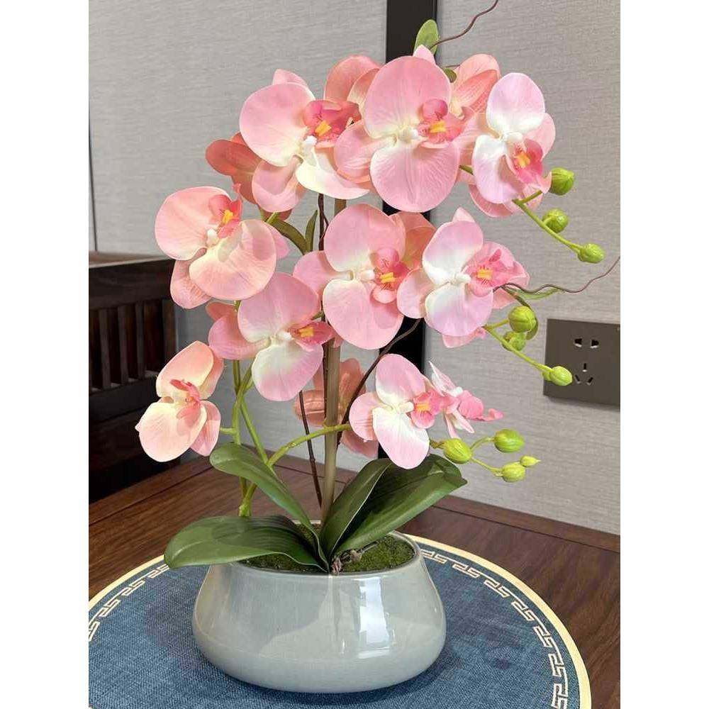厅蝴蝶兰装仿真花手套感花假盆栽客餐桌摆放绢花中式陶瓷花ZXB卉