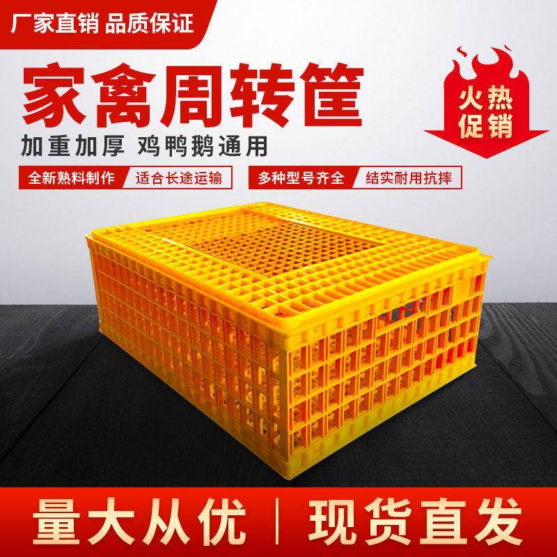 鸡笼塑料家禽运输鸡笼子笼周转大号加厚鸡运鸭鹅鸽兔PGY输箱方形