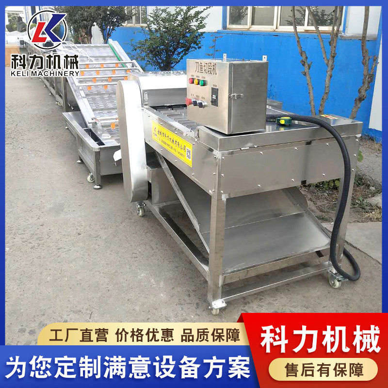 烟台刀鱼切段机 带鱼自动切段机 不锈钢鱼罐头设备切鱼块机器