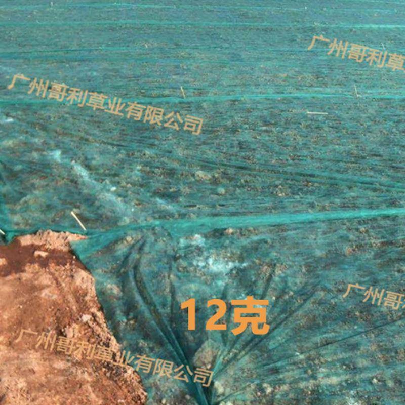 边园林绿化无布植种用鱼塘坡绿色草坪布盖土网布护坡无纺布整888