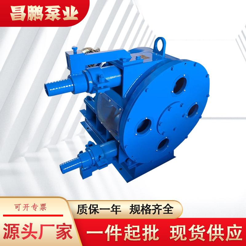 RRJEGB6软管泵筑粒路桥灌浆筑泵高粘度化工颗泥浆进料泵悬5浮颗粒