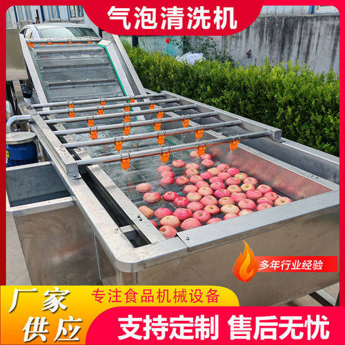 工厂气泡洗果机果蔬气泡清洗机 叶菜果蔬清洗设备肉类清洗机器