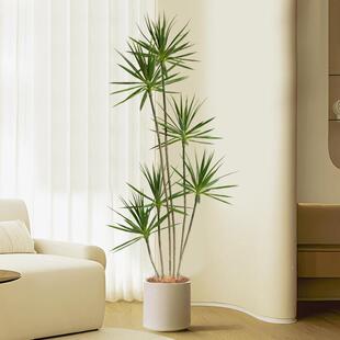 轻奢客厅室仿真绿植龙血树67658412龙兰假树装植物盆栽内饰落地盆