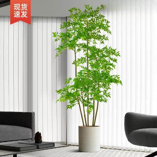 植物南天竹落地客盆栽摆室内大型仿生植件AL807048厅轻奢装饰花绿
