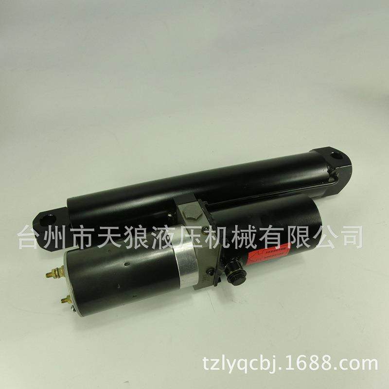 电动环卫车举升机电动三轮车举升机升降平台电动液压举升机,节庆用品/礼品,新娘配件,淘宝优惠券,粉丝福利购,淘宝优惠卷