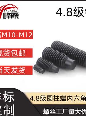 内六角圆柱端紧定螺钉M10M12M16M20M2479凸端无头螺丝止付