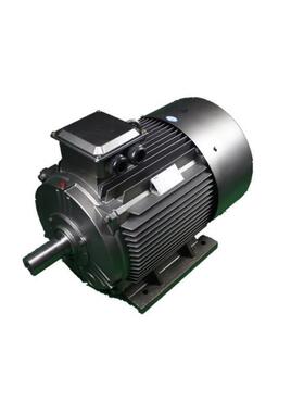 鸿泰一级能效电机TCYP5-160M-4t11KWt380V安装维修方便型号齐