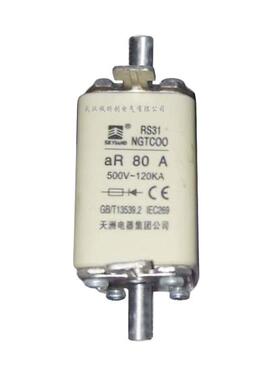 RS31NGTC0040A500V5A063A8HGG0A100A天洲电器集团公司熔断器