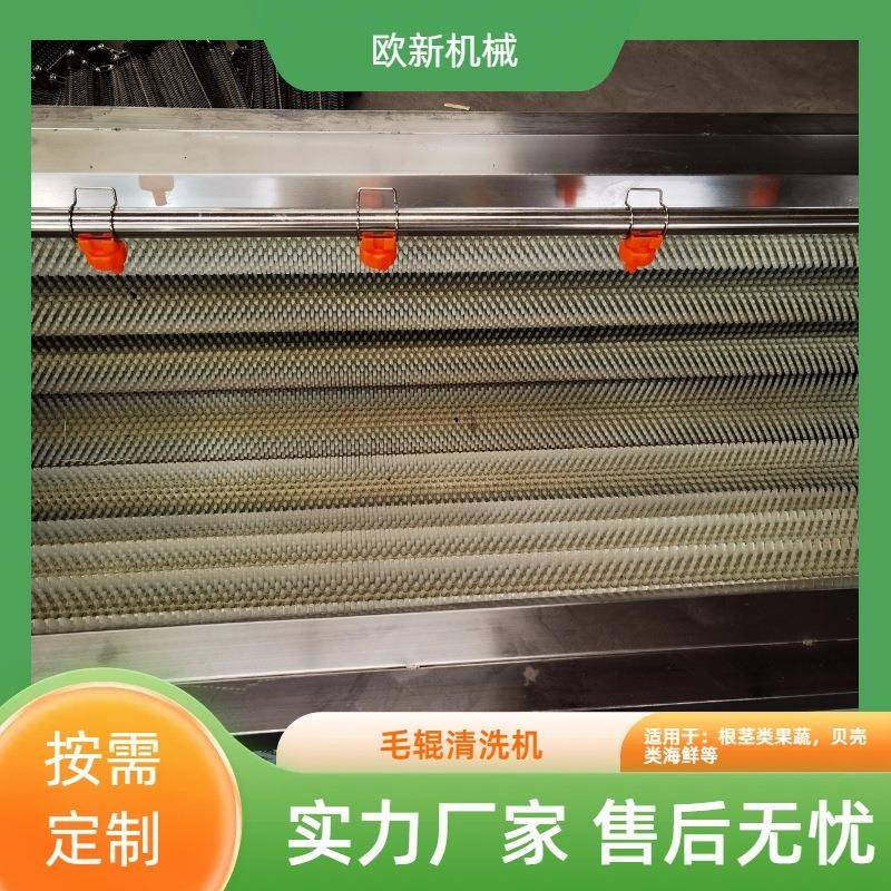 根类果蔬毛辊清洗机水去泥毛刷清茎洗果机土豆红薯毛皮辊去清861