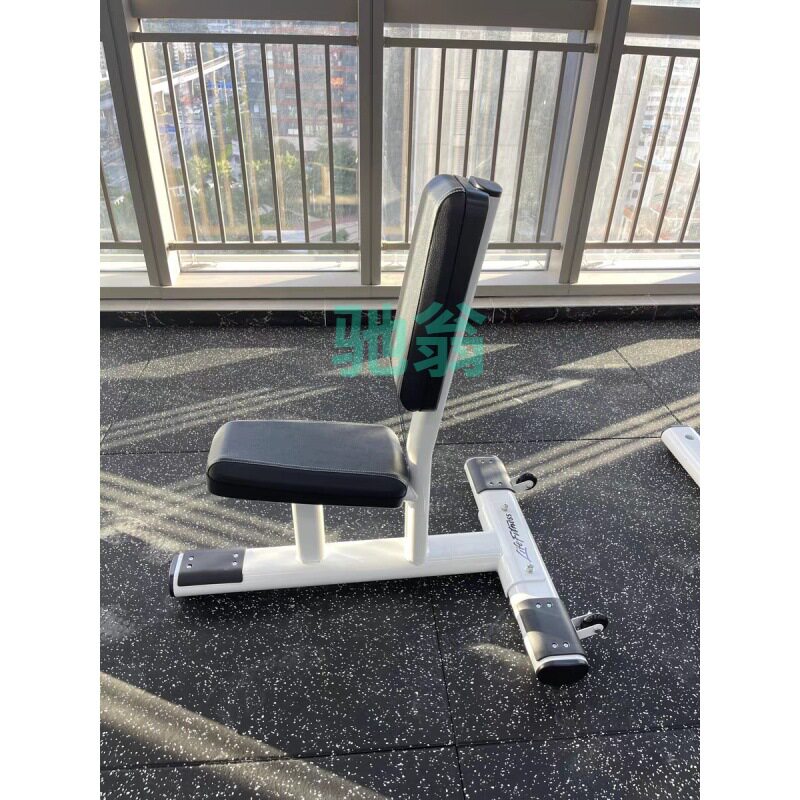 xsz专业级哑铃凳商用耐用推肩凳加厚加宽直角凳可调家用舒适健身