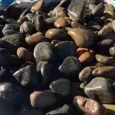 鹅卵石河原石-8公分里鹅暖石501湖南变电站滤5油池暖石鹅杂色黑黄
