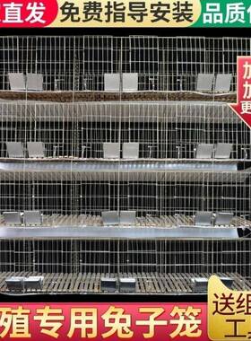 加hbms4236粗加大2位24位养殖场专用兔母笼子种兔笼1大号家用养兔