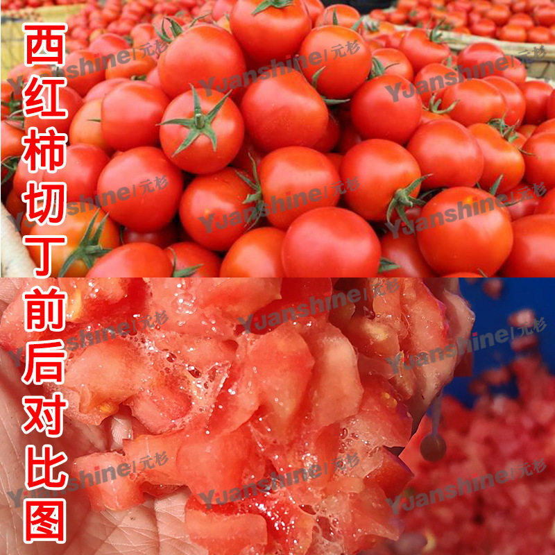 厂家现货大型三维切丁机 大蒜切丁机 冻干草莓芒果切丁机