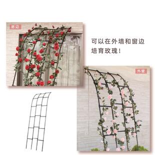 半边拱门弧花/院架爬藤架外月季户铁艺形半拱形支架庭花园阳台藤