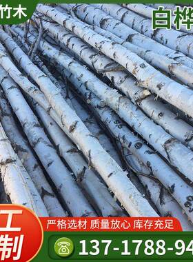 供应白桦木白桦树杆白桦树杆景观隔断拍摄道具定制