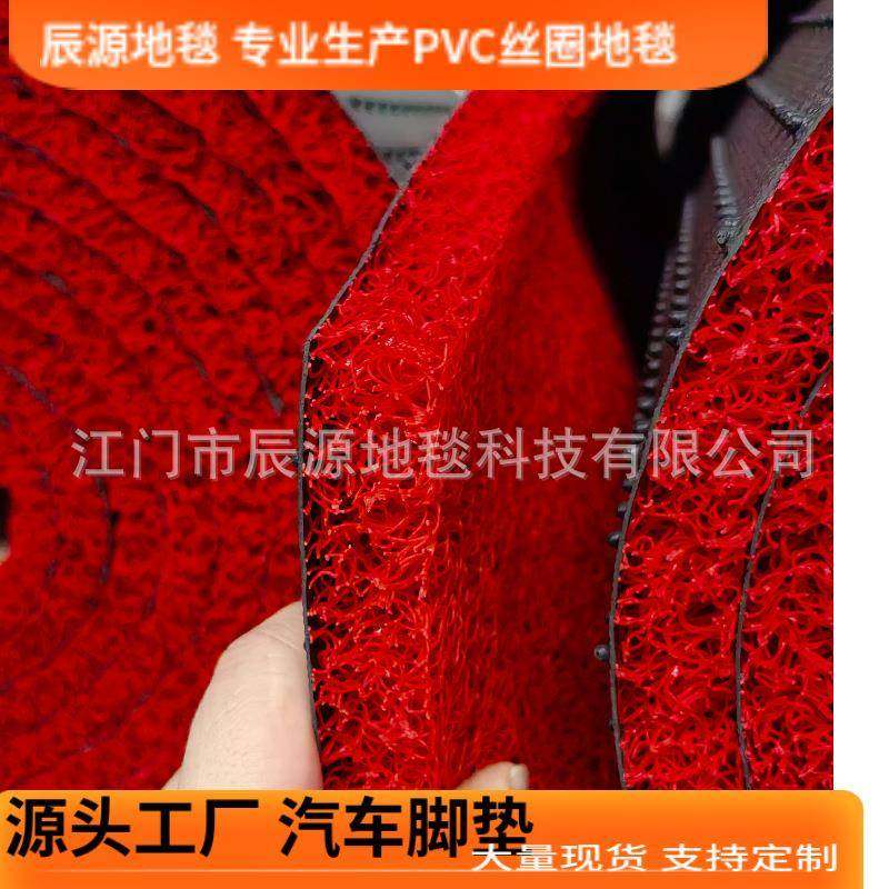 加密pvc丝圈地毯喷丝卷材汽车脚垫通用入户门口垫防滑垫玄关通道