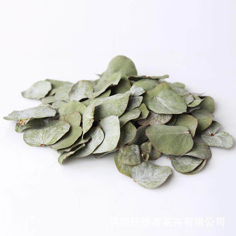 云南尤加利基地直销尤加利叶桉树叶自然干花香包手工材料包
