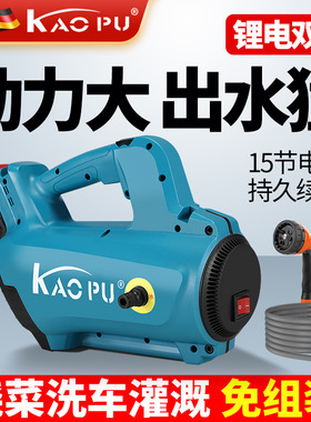 便携式洗车机锂电双核抽水机农田农用灌溉浇菜家用户外高压水泵